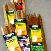 Hardwood Stakes