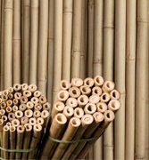 Bamboo Bulk