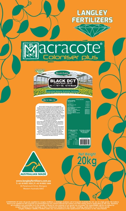 Macracote Black DCT Coloniser plus 12-14 Month (18 1 10 + TE)